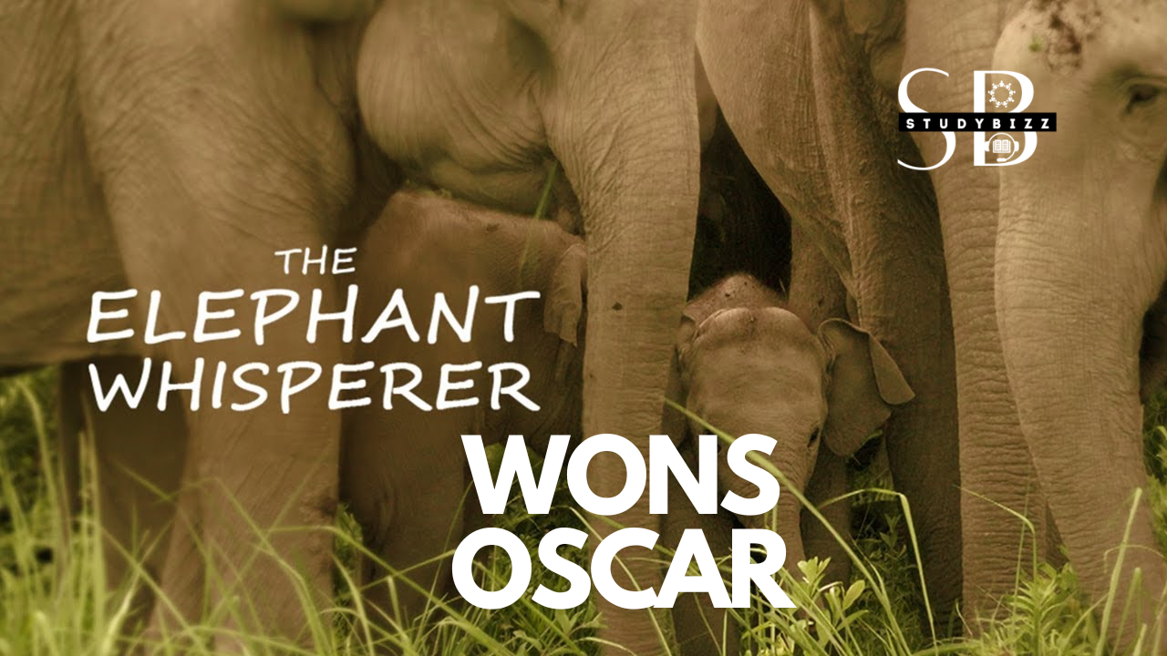 The Elephant Whisperers won the Oscars 2023 for Best Documentary Short Film
