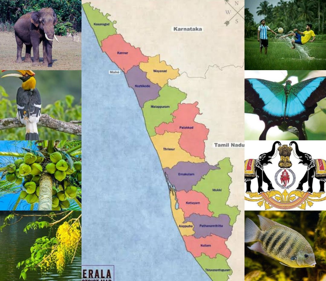 The State Symbols of Kerala
