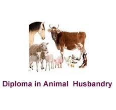 Animal Husbandry Diploma Admissions 2024