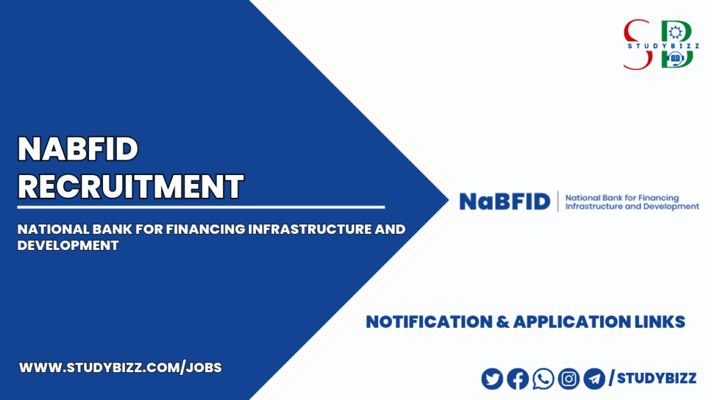 NABFID Recruitment 2024 for 12 Senior Analyst posts