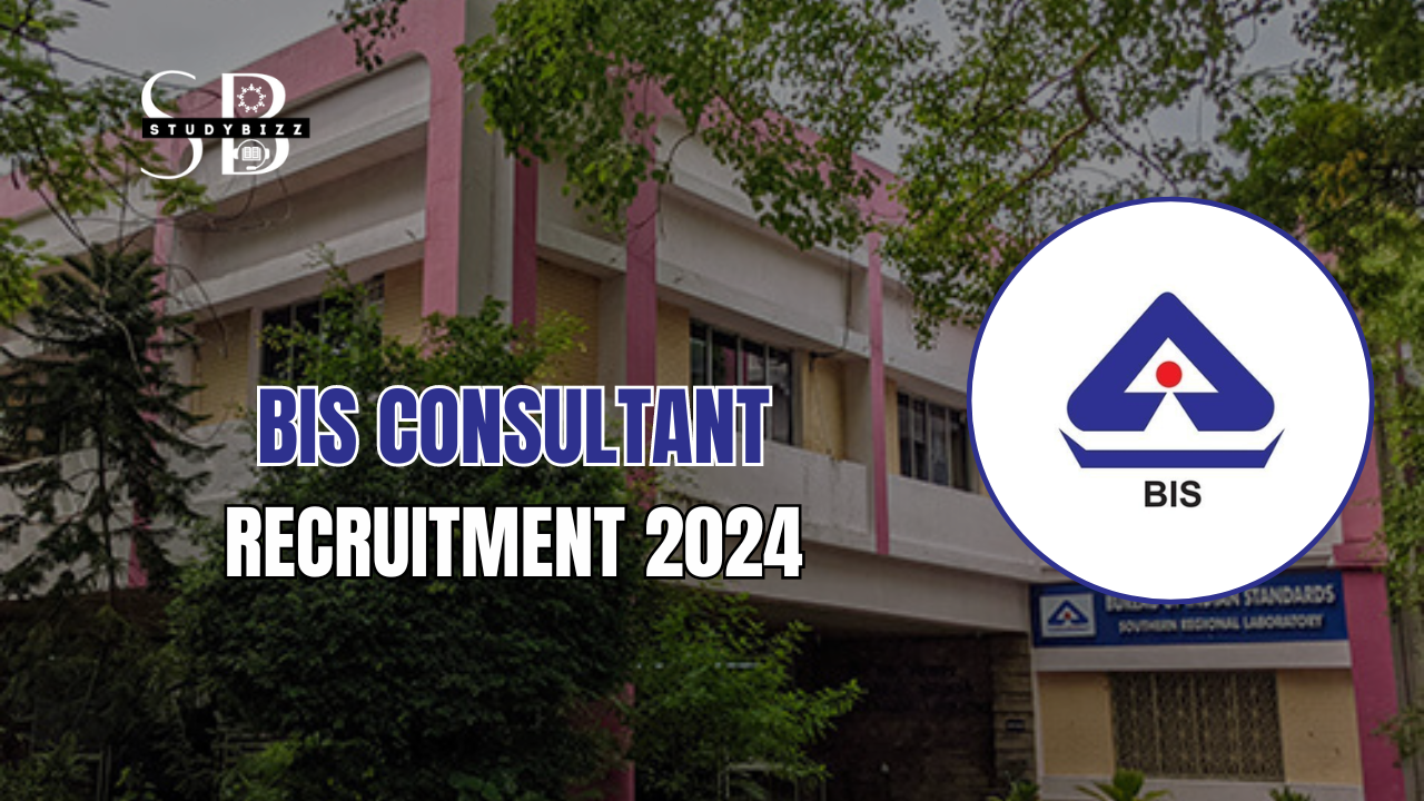 BIS Consultant Recruitment 2024