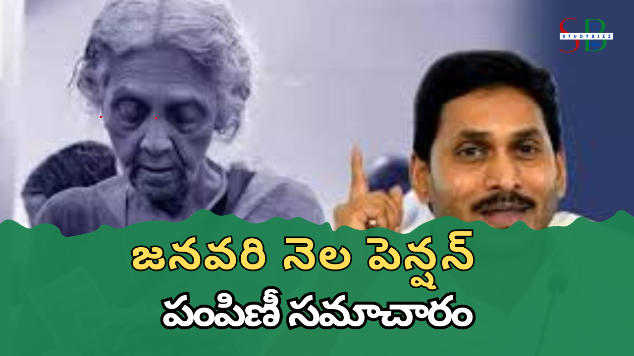 జనవరి నెల పెన్షన్ పంపిణీకి సంబంధించిన సమాచారం