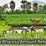 Telangana Rythu Bharosa Amount Released