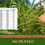 2024-25 Kharif Minimum Support Price MSP List