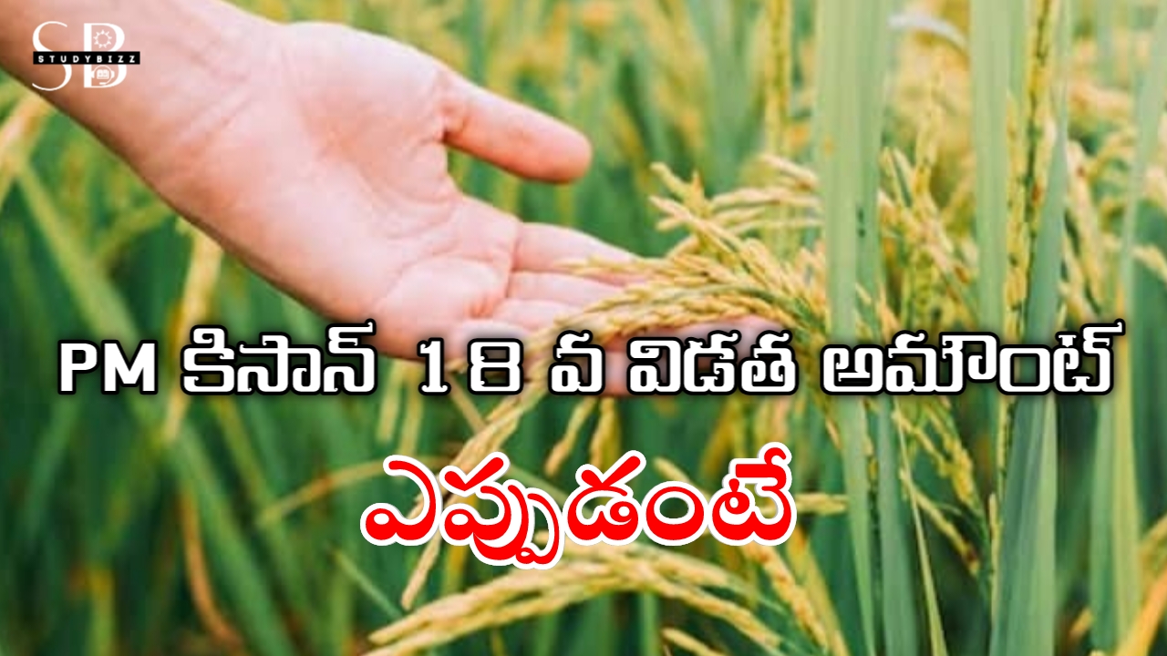 పీఎం కిసాన్ 18 వ విడత అమౌంట్ ఎప్పుడు పడుతుందంటే..