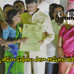 చంద్రన్న బీమా పథకం ఎలా అమలు జరగనుంది