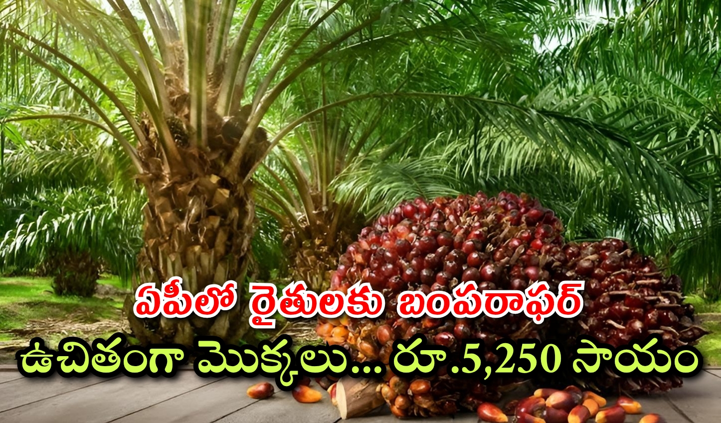 ఏపీలో రైతులకు బంపరాఫర్.. ఉచితంగా ఆయిల్ పామ్ మొక్కలు… రూ.5,250 సాయం