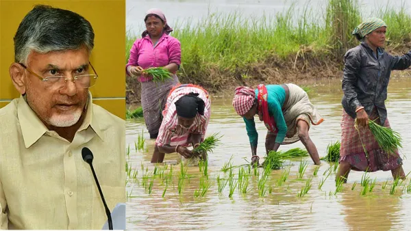 ఏపీలో రైతులకు కేబినెట్ బిగ్ న్యూస్- 24 గంటల్లో ఆ డబ్బుల విడుదల