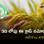 సెప్టెంబర్ 30 లోపు ఈ క్రాప్ నమోదు పూర్తి చెయ్యాలి : ఆదేశాలు జారీ