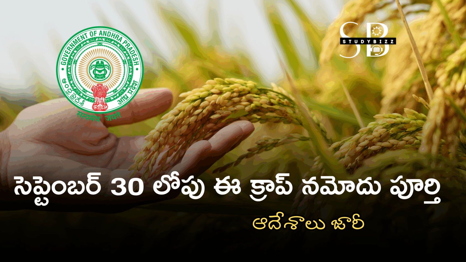 సెప్టెంబర్ 30 లోపు ఈ క్రాప్ నమోదు పూర్తి చెయ్యాలి : ఆదేశాలు జారీ