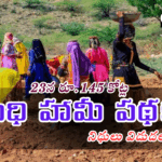 23న రూ.145 కోట్ల ఉపాధి హామీ పథకం నిధులు విడుదల