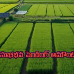 అన్నదాత సుఖీభవ పెండింగ్ అమౌంట్ విడుదల