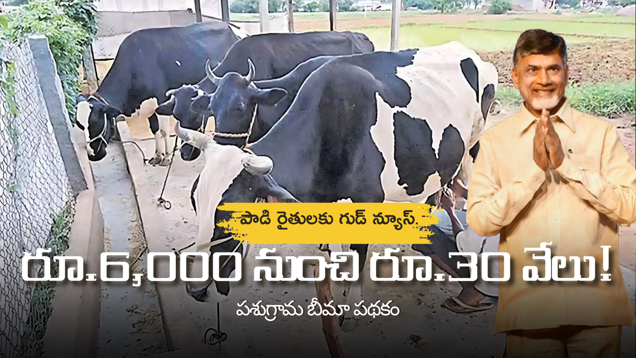 ఏపీలో పాడి రైతులకు గుడ్ న్యూస్..పాడి రైతులకు రూ.6,000 నుంచి రూ.30 వేలు!