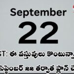 GST Impact: ఈ వస్తువులు కొంటున్నారా అయితే సెప్టెంబర్ 22 వరకు ఆగండి
