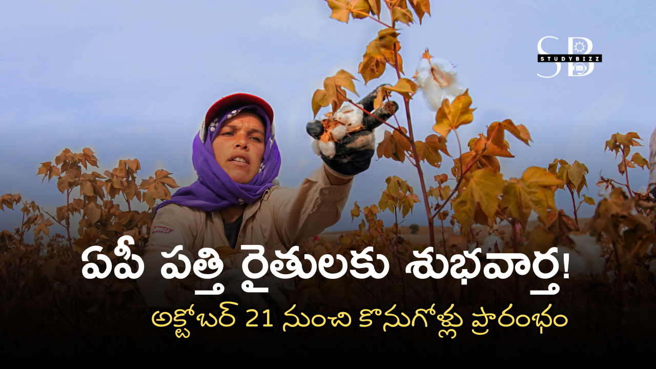 ఏపీ పత్తి రైతులకు శుభవార్త! అక్టోబర్ 21 నుంచి కొనుగోళ్లు ప్రారంభం