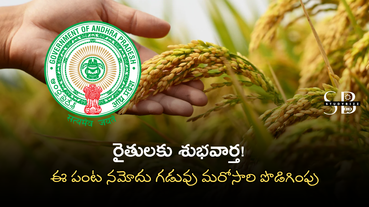 ఈ పంట నమోదు గడువు మరోసారి పొడిగింపు | Andhra Pradesh e-Panta Registration 2025 Deadline Extended