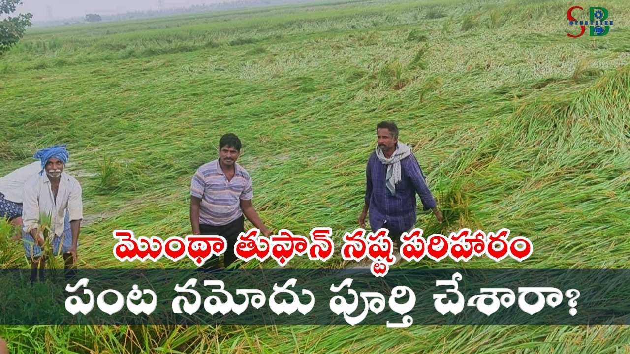 మొంథా తుఫాన్ నష్టపరిహారం – రైతులు మీ పంట నమోదు చేసుకున్నారా? మొంథా తుఫాన్ నష్టపరిహారం – రైతులు మీ పంట నమోదు చేసుకున్నారా?