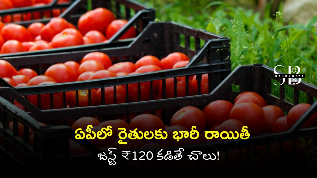 AP Farmers 50% Subsidy Plastic Boxes: ఏపీలో రైతులకు భారీ రాయితీ – జస్ట్ ₹120 కడితే చాలు!