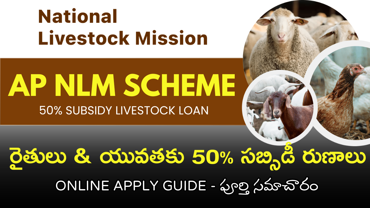 AP NLM Scheme : రైతులు & యువతకు 50% సబ్సిడీ రుణాలు | Online Apply Guide – పూర్తి సమాచారం