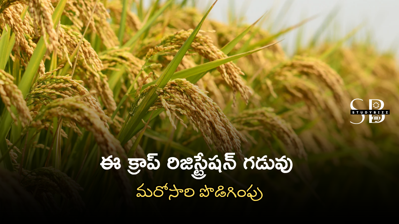 ఏపీ రైతులకు అలర్ట్: ఈ క్రాప్ రిజిస్ట్రేషన్ గడువు మరోసారి పొడిగింపు