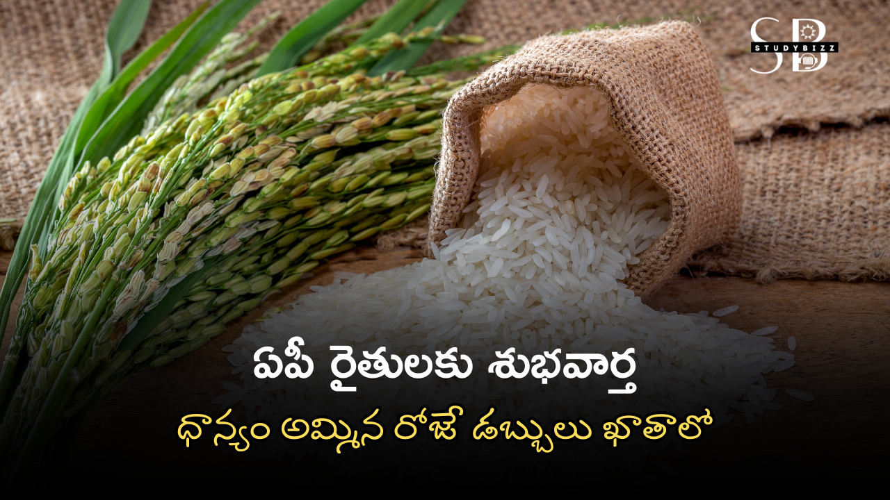 ఏపీ రైతులకు శుభవార్త: ధాన్యం అమ్మిన రోజే డబ్బులు ఖాతాలో – కేవలం 2 గంటల్లో పేమెంట్! ఏపీ రైతులకు శుభవార్త: ధాన్యం అమ్మిన రోజే డబ్బులు ఖాతాలో – కేవలం 2 గంటల్లో పేమెంట్!