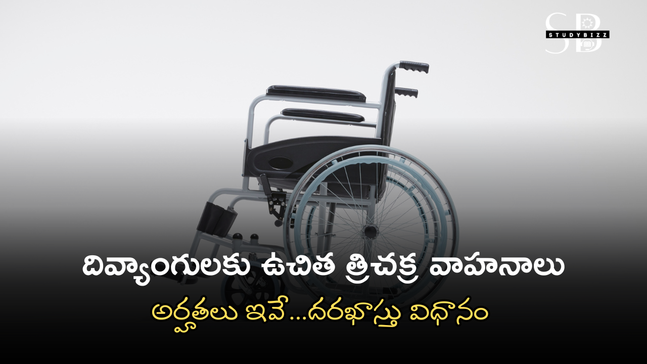 AP Govt Free Three Wheeler Bikes to Disabled Persons 2025 – దివ్యాంగులకు ఉచిత త్రిచక్ర వాహనాలు AP Govt Free Three Wheeler Bikes to Disabled Persons 2025 – దివ్యాంగులకు ఉచిత త్రిచక్ర వాహనాలు