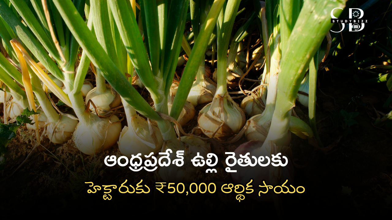ఆంధ్రప్రదేశ్ ఉల్లి రైతులకు హెక్టారుకు ₹50,000 ఆర్థిక సాయం – ప్రభుత్వం పెద్ద నిర్ణయం! ఆంధ్రప్రదేశ్ ఉల్లి రైతులకు హెక్టారుకు ₹50,000 ఆర్థిక సాయం – ప్రభుత్వం పెద్ద నిర్ణయం!