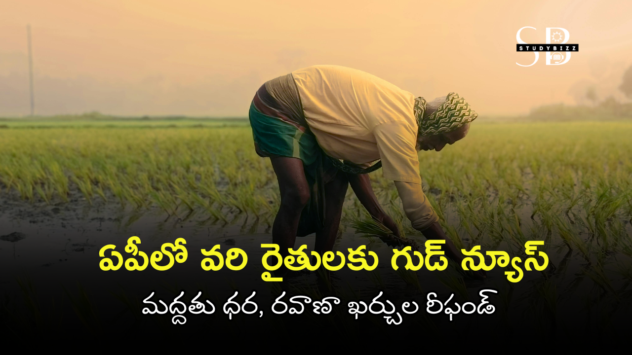 AP Paddy MSP: ఏపీలో వరి రైతులకు గుడ్ న్యూస్: మద్దతు ధర, రవాణా ఖర్చుల రీఫండ్ – పూర్తి వివరాలు