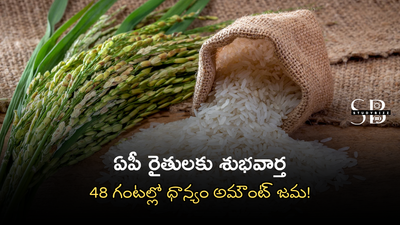 ఏపీ రైతులకు శుభవార్త: 48 గంటల్లో ధాన్యం అమౌంట్ జమ! ఏపీ రైతులకు శుభవార్త: 48 గంటల్లో ధాన్యం అమౌంట్ జమ!