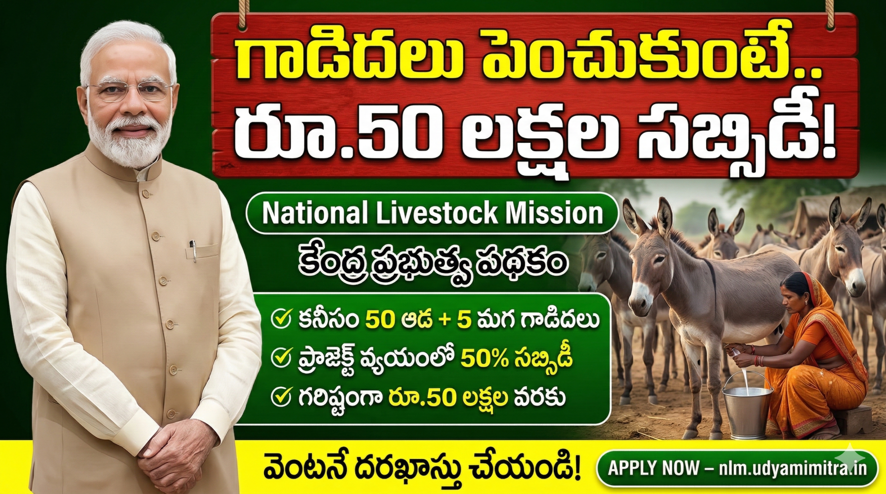 గాడిదలను పెంచితే రూ.50 లక్షల సబ్సిడీ.. కేంద్ర ప్రభుత్వ నేషనల్ లైవ్‌స్టాక్ మిషన్ పూర్తి వివరాలు