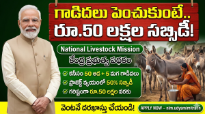 గాడిదలను పెంచితే రూ.50 లక్షల సబ్సిడీ.. కేంద్ర ప్రభుత్వ నేషనల్ లైవ్‌స్టాక్ మిషన్ పూర్తి వివరాలు
