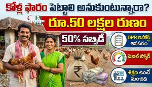 కోళ్ల ఫారం పెట్టాలనుకుంటున్నారా? రూ.50 లక్షల లోన్.. అందులో 50% సబ్సిడీ – పూర్తి వివరాలు