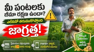 PMFBY 2026 Registration: పంటల బీమా గడువు, అర్హత, ఆన్‌లైన్ దరఖాస్తు విధానం పూర్తి వివరాలు