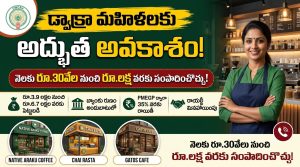 డ్వాక్రా మహిళలకు అద్భుత అవకాశం.. నెలకు రూ.30 వేల నుంచి రూ.1 లక్ష వరకు సంపాదించొచ్చు!