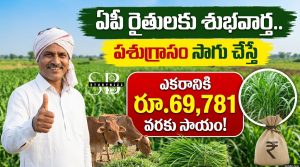 ఏపీలో రైతులకు శుభవార్త.. పశుగ్రాసం సాగు చేస్తే ఎకరానికి రూ.69,781 వరకు సాయం!
