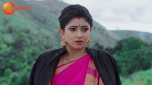 Nindu Noorella Savasam Serial Cast (Zee Telugu), Telecast Timings