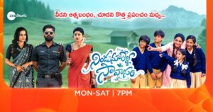 Nindu Noorella Savasam Serial Cast (Zee Telugu), Telecast Timings